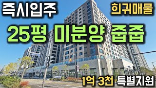 25평 즉시입주 미분양줍줍1억 3천만원 특별지원 땡처리 희귀매물 수원 미분양아파트의 반값 최저가 수원 금호리첸시아 [upl. by Adiuqram]