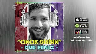 Cıncık Gibisin Dub Remix feat DJ CeNCeN  Delivizyon [upl. by Nethsa]