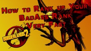 Borderlands 2 How to Rank up fast Badass points XBOX 360 [upl. by Yekcaj]