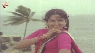 Pattuko Pattuko Pattucheera Video Song II Challenge Ramudu Movie  NTR Jayaprada Geeta [upl. by Odnavres]