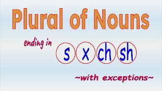 Mastering Plurals Nouns Ending in S X CH and SH  Rule and Exceptions [upl. by Ymorej]