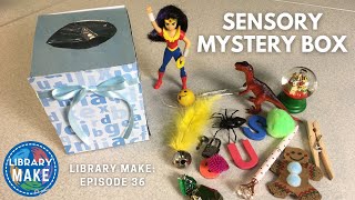 DIY Literacy Sensory Mystery Box LIBRARY MAKE [upl. by Eliza]