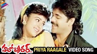 Hello Brother Movie Songs  Priya Raagale Video Song  Nagarjuna  Ramya Krishna  Soundarya [upl. by Wynnie]