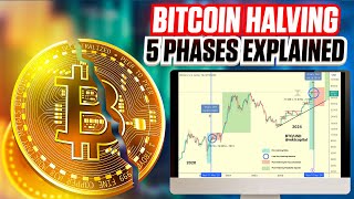 5 Phases of the Bitcoin Halving  Ultimate Guide For 2024 [upl. by Lohse]