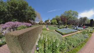 Filoli Gardens April 2019 [upl. by Nynahs]