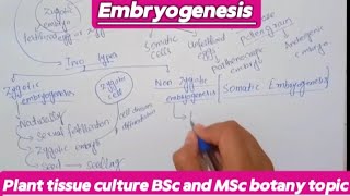 EmbryogenesisPlant tissue cultureBsc and MSc botany topic planttissueculture [upl. by Beatty139]