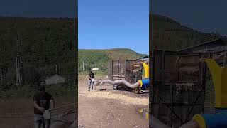 Self priming hay crusher Good tools and machinery can increase work efficiency [upl. by Lodge]