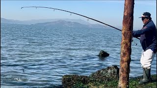 102524 Update near the Bay Bridge Tolls Plaza for striped bass [upl. by Zoha13]