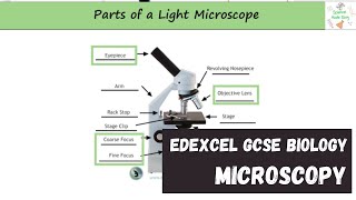 Edexcel GCSE Biology  Microscopy [upl. by Teteak460]