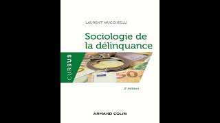 Sociologie de la délinquance  Laurent Mucchielli [upl. by Llennahc582]