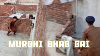 Hamari Murghi Bhag Gai [upl. by Aneehsyt]