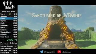 Breath of the Wild Any Speedrun  4532 [upl. by Nicolas]