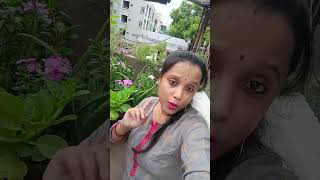 pahari jharna youtube bengali songshorts [upl. by Atterys633]