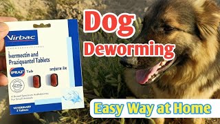 Deworming of DOG  Easy Way to Deworm your Dog at Home  Dog Care Information  virbac deworming [upl. by Eetnahs]