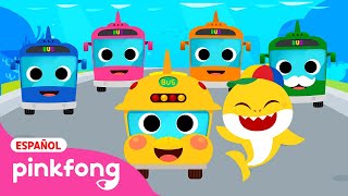 Buses Tiburones Coloridos🚌🌈  Colores  Canciones Infantiles  Pinkfong en español [upl. by Conlan417]