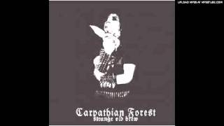 Carpathian Forest  Bloodcleansing [upl. by Aikyt516]