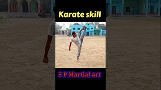 🔥karate skill 🔥 viralvideo shortvideo viralshort sports SPMartialart007 [upl. by Yvonne]