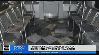 Accused sex offender charged with tearing apart Red Line train seats [upl. by Oilegor502]