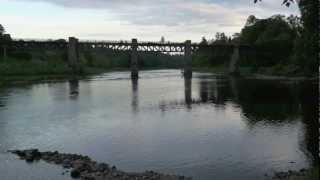 Salmon Fishing Scotland Islamouth Lower Tay Perthshire Scotland [upl. by Dotson704]