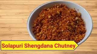 Sholapur Shengdana Chutney  Quick and Easy Homemade Chutney recipe [upl. by Yentyrb720]