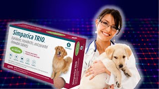 Simparica trio explained by AI veterinarians [upl. by Airal]