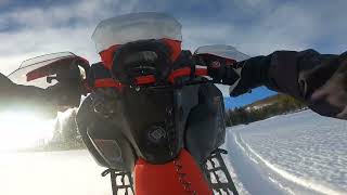 ski doo backcountry xrs 850 22 WHEELIE MACHINE [upl. by Aisatnaf]