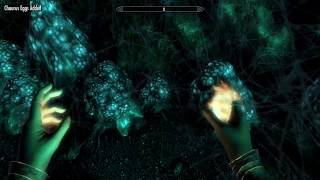 Where to find many Chaurus Eggs  Skyrim [upl. by Anastos15]