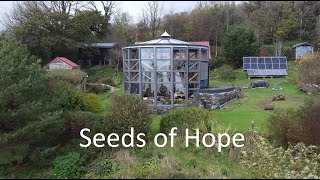 Seeds of Hope [upl. by Angus]