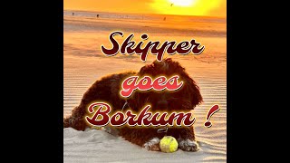 Skippy goes Borkum Pics [upl. by Anaynek]