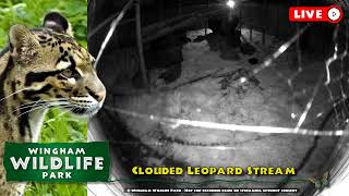 Wingham Wildlife Park Live Stream [upl. by Lielos]