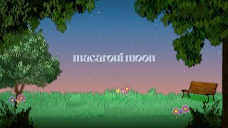 The Rare Occasions  Macaroni Moon Lyric Video [upl. by Ieppet]