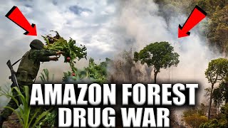 Top 10 Drug Wars In The World’s Largest Rainforest [upl. by Leiand524]