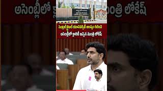 Minister Nara Lokesh Comments On Central Tribal University In AP  AP Assembly Budget 2024 [upl. by Eletnahs451]