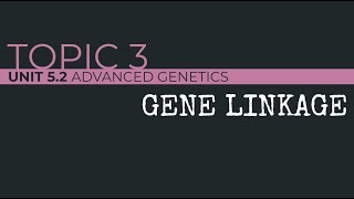 AP Biology Gene Linkage [upl. by Araj]