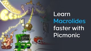 Learn Macrolides Faster with Picmonic NCLEX® Nursing School [upl. by Anthiathia]