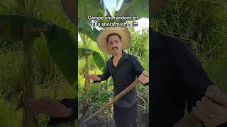 Campesinos en Cuba 🇨🇺👨‍🌾 Ravelo Humor Cubano [upl. by Llenyaj]