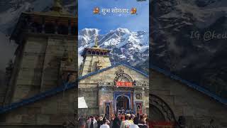 kedarnath status kedarnath temple kedarnath video [upl. by Cony619]