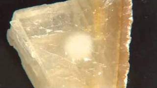 calcite reacting with acid [upl. by Irmo506]