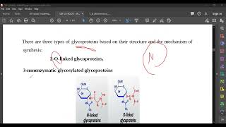 L29 Glycoproteins amp Proteoglycans [upl. by Notrem]