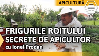 FRIGURILE ROITULUI SECRETE DE APICULTOR cu Ionel Prodan  Partea 2 [upl. by Field]