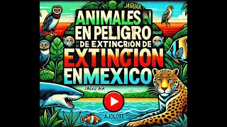 Algunos animales en peligro de extincion en mexico [upl. by Norret249]