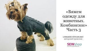 quotВяжем одежду для животных спицами Свитер  Комбинезон Часть 3quot вместе с Lorraine Woolheart [upl. by Ayikat]