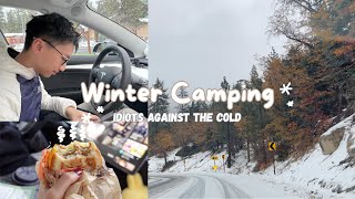 VLOG  Tesla camping in 0 degree weather °❆⛄⋆ೃ࿔🦌･❄️ [upl. by Edin]