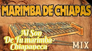 MARIMBA DE CHIAPAS PURA MARIMBA ✔ MARIMBAS MIX [upl. by Nalhsa756]