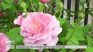 VU DICI  BagnolesdelOrne voit la vie en rose [upl. by Mae217]