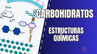 CARBOHIDRATOS EN LA BIOQUMICA CELULAR I ESTRUCTURA Y CLASIFICACIÓN [upl. by Rentschler680]