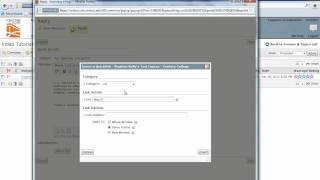 Inserting a Hyperlink into D2L [upl. by Grondin]