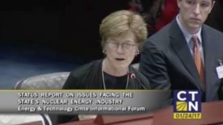 Testimony of Susan Tierney before the CGA Energy and Technology Committee [upl. by Anairt]