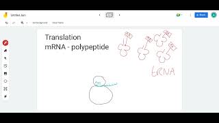 SNAB 26 Protein synthesis [upl. by Hudnut]