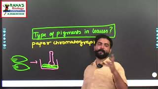 photosynthesisinhigherplants class11biology chloroplast chlorophyll PHOTOSYNTHETIC PIGMENTS yt [upl. by Amias680]